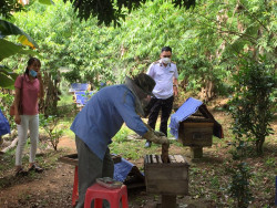 Chi cục Chăn nuôi và Thú y Nghệ An tăng cường quản lý an toàn thực phẩm trong chăn nuôi và thú y